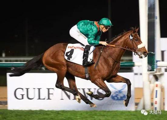 “实稳金”（Zarak）