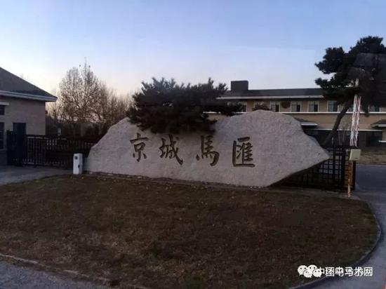 图：抵达京城马汇