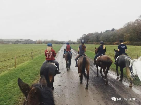 △日常，集体溜达