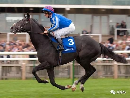 “黑暗天使”（Dark Angel）