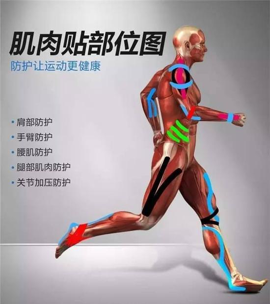 经常可以在赛道看到各种花式的肌肉贴 来自：网络
