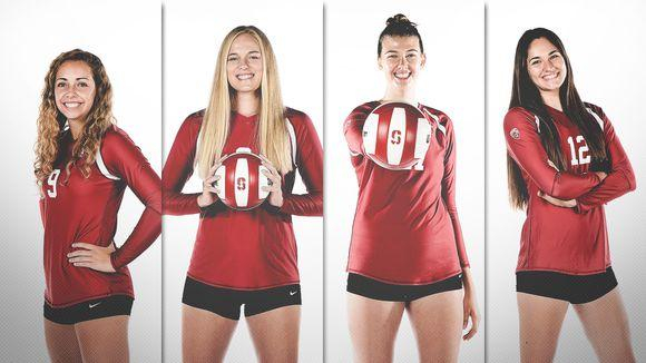 美国NCAA的大学排球队队员