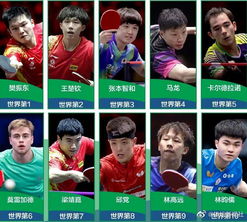 樊振东和孙颖莎领军天团出征