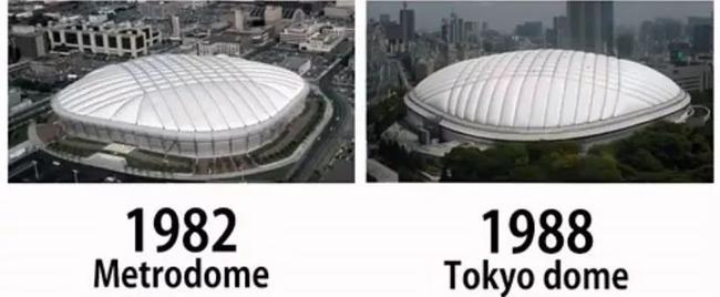 明尼苏达维京人队体育场和东京巨蛋