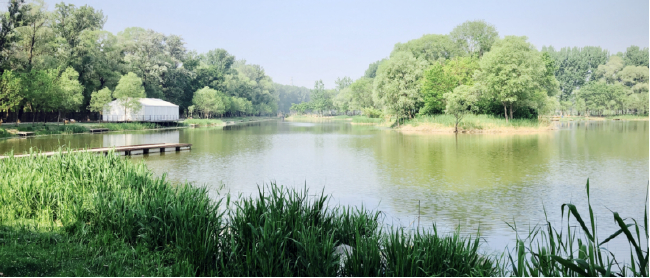 （2010年扎根北京汉石桥湿地创立为蓝营地）