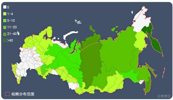 俄罗斯人没少被熊袭击