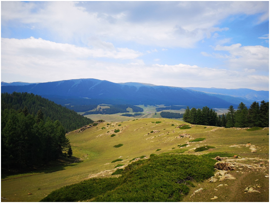 比赛场地——东天山白石头风景区