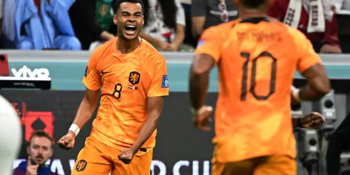世界杯-加克波连3场进球 德容破门荷兰2-0夺头名_手机新浪网