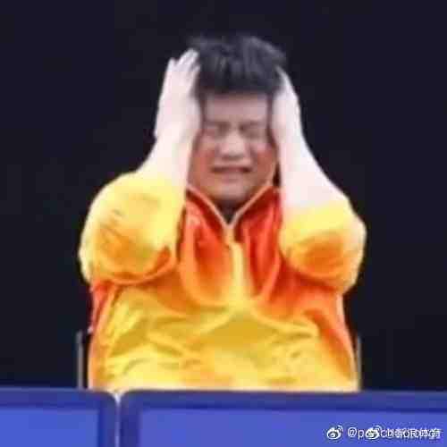 #樊振东急成世界名画#上热搜