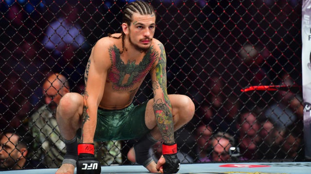 “蜜糖秀”肖恩-奥麦利是雏量级最耀眼的一颗新星