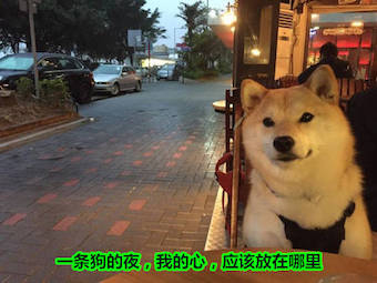 宝拉：你妹！
