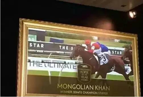 　　“蒙古可汗”破纪录地在新西兰一举摘得-最佳三岁马、最佳长途马、最佳马主以及年度马王等四项大奖