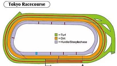 ▲图/Horse Racing in Japan