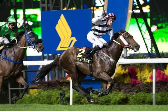 “花月春风”赢新航国际杯