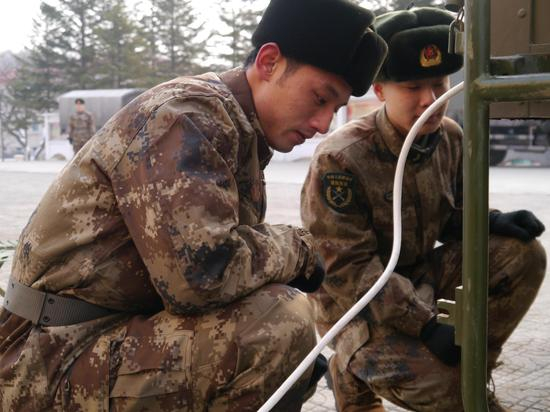 全神贯注的藏獒