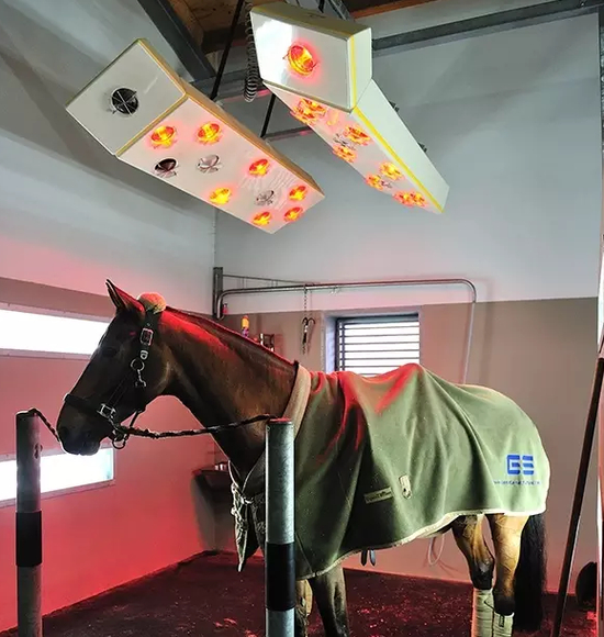 舒适的马匹烘干区