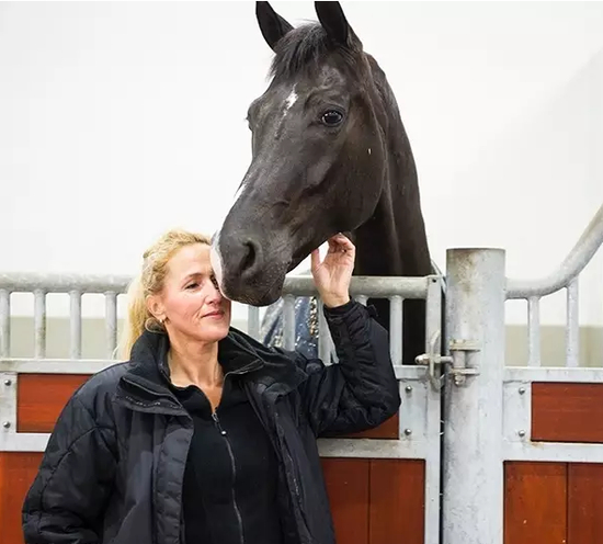 马场的主人，一个盛装舞步的骑手