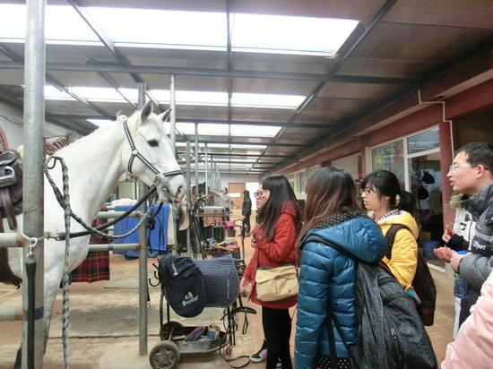 参观马房