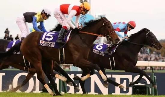 ▲图/equidia，‘湘南魔瓶’（15号）