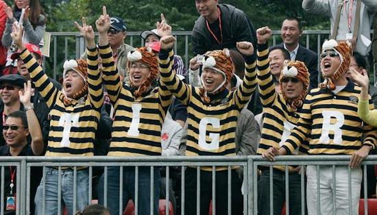 老虎在球迷中的号召力是空前的