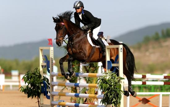 观看马术障碍赛