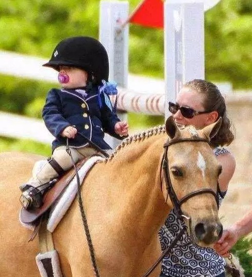 奶娃娃骑在马背上学习马术