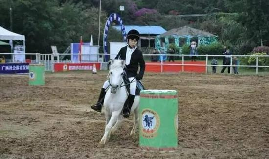 2015广西马术锦标赛总决赛（由广西马术协会提供）