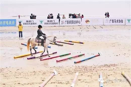 2015广西马术锦标赛防城港站（网络配图）