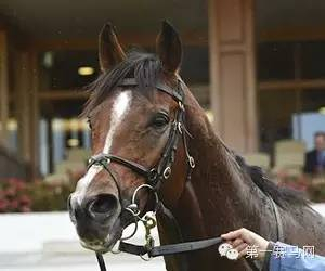 “枪法如神”（via.racing.com）