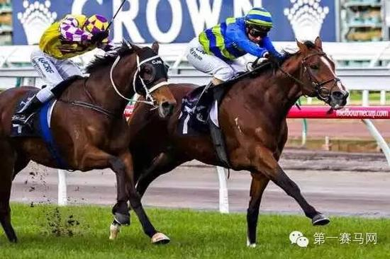 “枪法如神”（网络配图）