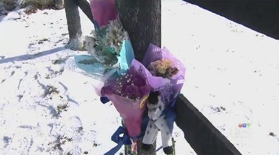 当地人在马厩外摆放鲜花以哀悼蒙受灭顶之灾的马儿。