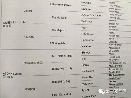 Gonski血统图（由马主提供）