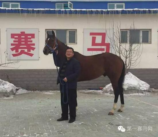 新疆恒信马业公司董事长 赵志恒