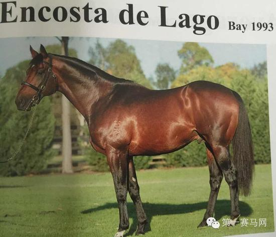 “拿高”（Encosta De Lago）