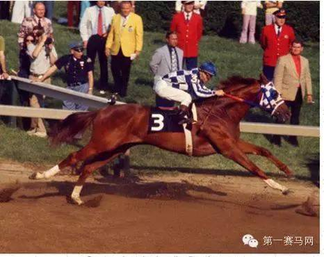 “秘书处”的大步幅