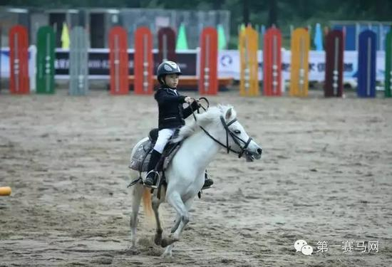 青少年马术赛事