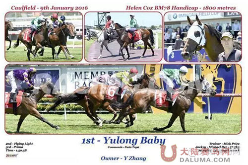 1月9日夺冠的“玉龙宝贝”（图：racing.com）