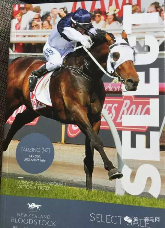 精选周岁马拍卖会（Select Sale）手册