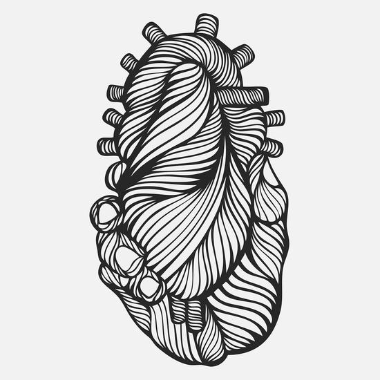 Bruno Big的Alegria图像