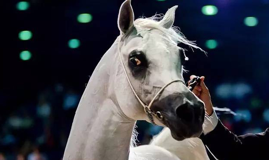 烟熏妆化的不赖