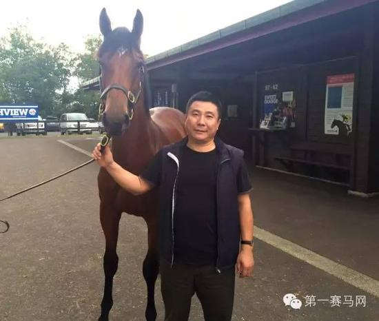 　　马主陈洪伟以10万新币购得第425号小公马。马的父系为Ocean Park，母系Ms Seneca Rock （USA），Wentwood Grange出售