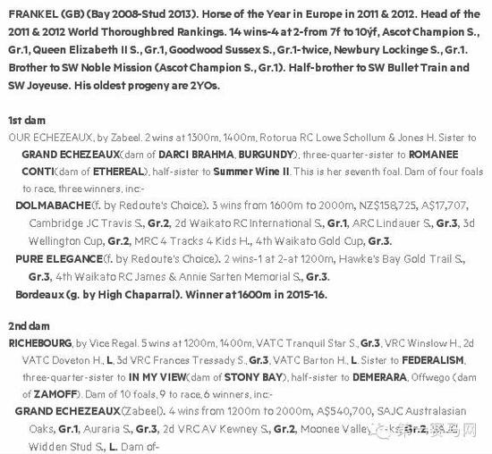 第445号马部分血统资料