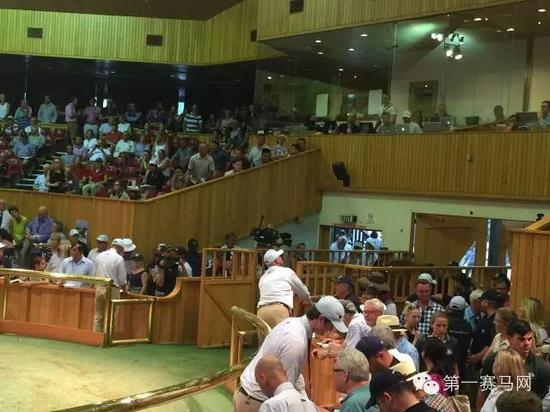 全场翘首以盼世界马王之子