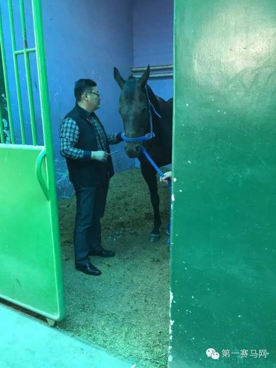 赵志恒在马房
