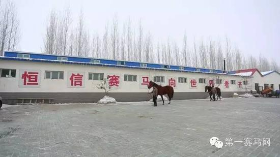 “恒信赛马向世界看齐”的大标语
