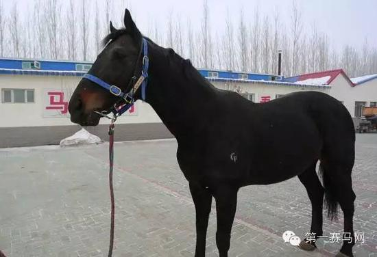 “经典拿高”（Classic De Lago）