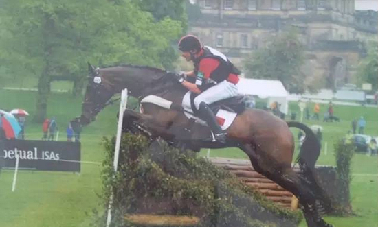 　　华天凭一支左腿下马蹬，另一支腿脚悬空，完成《查茨沃思宫大赛》越野赛全程巨大固定障碍物跨越，这是马术三项赛运动中独一无二的记录！