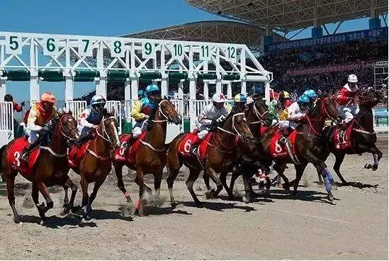 2015丝绸之路中国杯