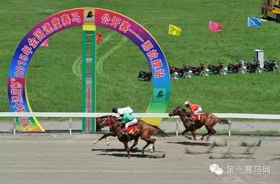 2015全国速度赛马公开赛（那拉提站）现场。（via。中国日报）