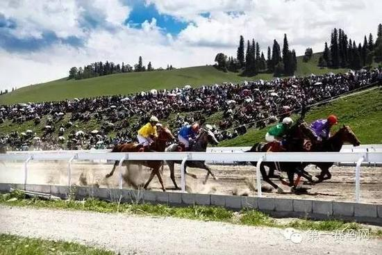 2015全国速度赛马公开赛（那拉提站）在那拉提国际赛马场盛大举行。（via。华语广播网）